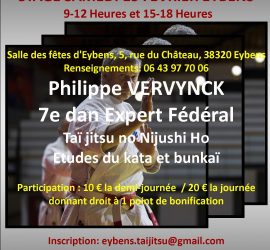 Affiche stage Philippe vervynck etjc38
